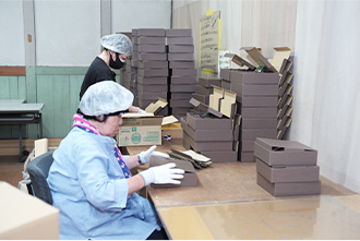 箱折作業